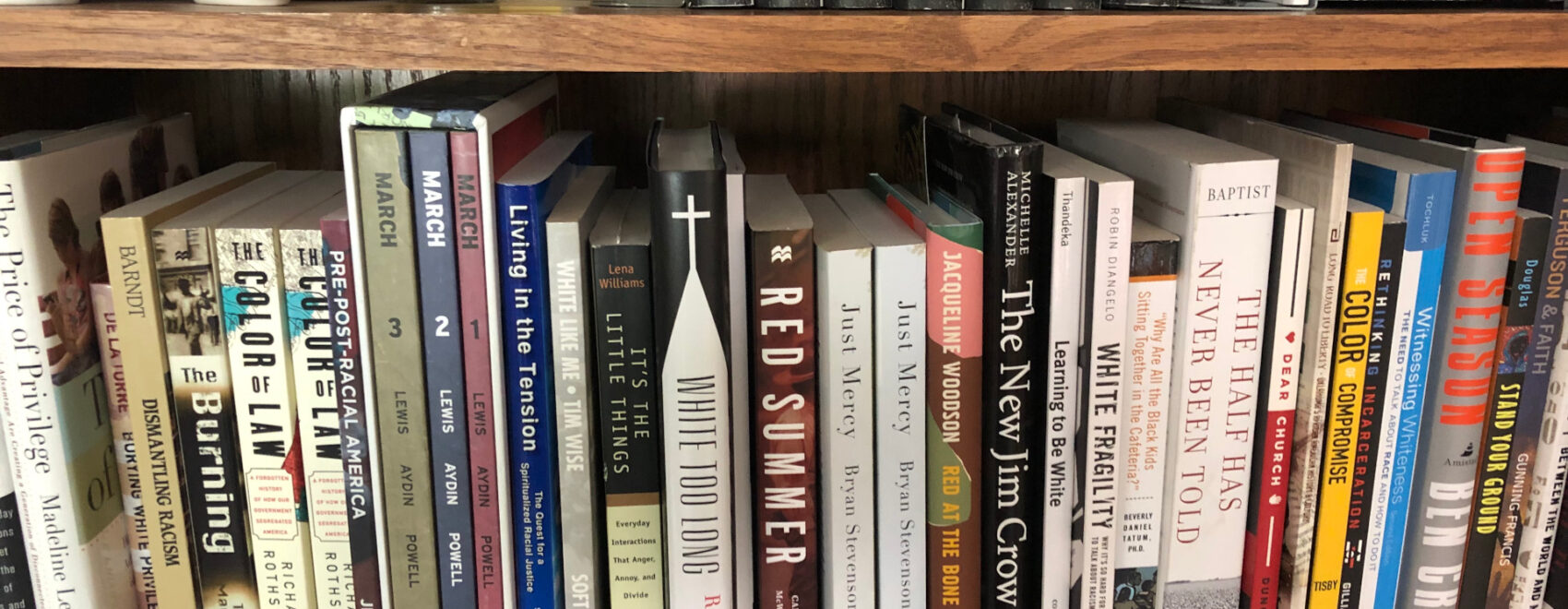 Books on a shelf from the Racial Justice Reading List