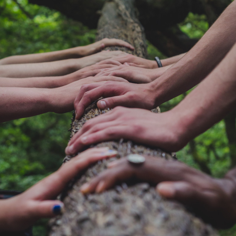 Hands on a tree trunk at Fellowship Congregational United Church of Christ,